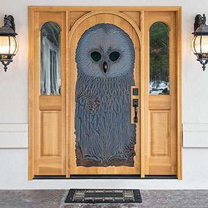 2019 Neuenschwander Doors Glass Owl Front Door